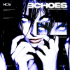 Echoes