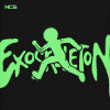 Exoskeleton